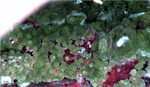 Mineralien Griechenland Lavrion Christiana Duftit