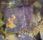 Griechenland Lavrion Mineralien Christiana Fluorit