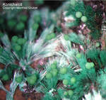 Mineralien Griechenland Lavrion Christiana Konichalcit