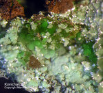 Mineralien Griechenland Lavrion Christiana Konichalcit
