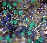 Mineralien Griechenland Lavrion Christiana Konichalcit