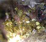 Mineralien Griechenland Lavrion Christiana Segnitit
