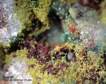 Mineralien Griechenland Lavrion Christiana Segnitit