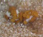 Mineralien Griechenland Lavrion Christiana Smithsonit