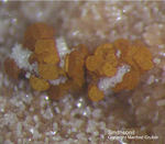 Mineralien Griechenland Lavrion Christiana Smithsonit