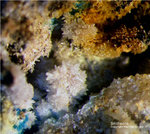 Mineralien Griechenland Lavrion Christiana Smithsonit