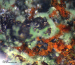 Mineralien Griechenland Lavrion Christiana Zálesíit