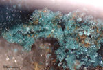 Griechenland Lavrion Esperenza Mineralien Antlerit