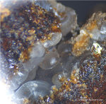 Griechenland Lavrion Mineralien Exi Apatit