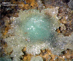 Mineralien Griechenland Lavrion Hilarion Adamin