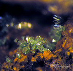 Mineralien Griechenland Lavrion Hilarion Adamin