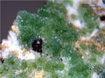 Mineralien Griechenland Lavrion Hilarion Adamin