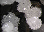 Mineralien Griechenland Lavrion Hilarion Adamin