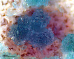 Mineralien Griechenland Lavrion Hilarion Adamin