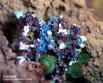 Mineralien Griechenland Lavrion Laurion Hilarion Connellit