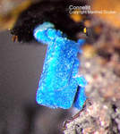 Mineralien Griechenland Lavrion Laurion Hilarion Connellit