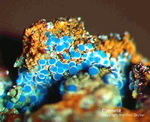 Mineralien Griechenland Lavrion Laurion Hilarion Connellit