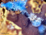 Mineralien Griechenland Lavrion Laurion Hilarion Connellit