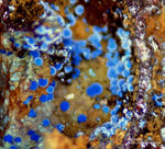 Mineralien Griechenland Lavrion Laurion Hilarion Connellit
