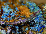 Mineralien Griechenland Lavrion Laurion Hilarion Connellit