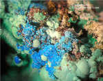 Griechenland Mineralien Lavrion Laurion Hilarion Cyanotrichit