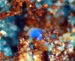 Griechenland Mineralien Lavrion Laurion Hilarion Cyanotrichit