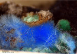 Griechenland Mineralien Lavrion Laurion Hilarion Cyanotrichit