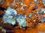Griechenland Lavrion Mineralien Hilarion Devillin