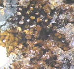 Griechenland Mineralien Laurion Hilarion Jarosit