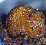 Griechenland Mineralien Laurion Hilarion Jarosit