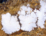 Mineralien Griechenland Lavrion Hilarion Kamarizait
