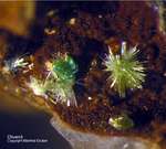 Griechenland Mineralien Laurion Hilarion Olivenit