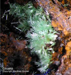 Griechenland Mineralien Laurion Hilarion Olivenit