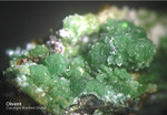 Griechenland Mineralien Laurion Hilarion Olivenit