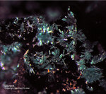 Griechenland Mineralien Laurion Hilarion Olivenit