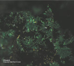 Griechenland Mineralien Laurion Hilarion Olivenit