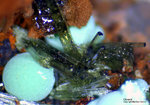Griechenland Mineralien Laurion Hilarion Olivenit