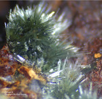 Griechenland Mineralien Laurion Hilarion Olivenit