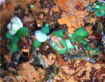 Griechenland Mineralien Laurion Hilarion Olivenit