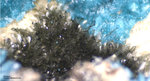 Griechenland Mineralien Laurion Hilarion Olivenit