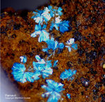 Mineralien Griechenland Lavrion Hilarion Parnauit