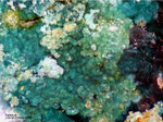 Mineralien Griechenland Lavrion Hilarion Parnauit