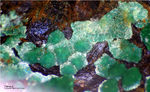 Mineralien Griechenland Lavrion Hilarion Parnauit