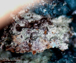 Mineralien Griechenland Lavrion Hilarion Parnauit