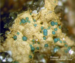 Griechenland Mineralien Lavrion Hilarion Rosasit
