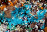 Griechenland Mineralien Lavrion Hilarion Rosasit