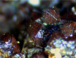Griechenland Mineralien Lavrion Hilarion Skorodit