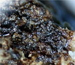 Griechenland Mineralien Lavrion Hilarion Skorodit