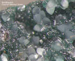 Griechenland Mineralien Lavrion Hilarion Smithsonit