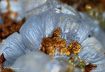 Griechenland Mineralien Lavrion Hilarion Smithsonit